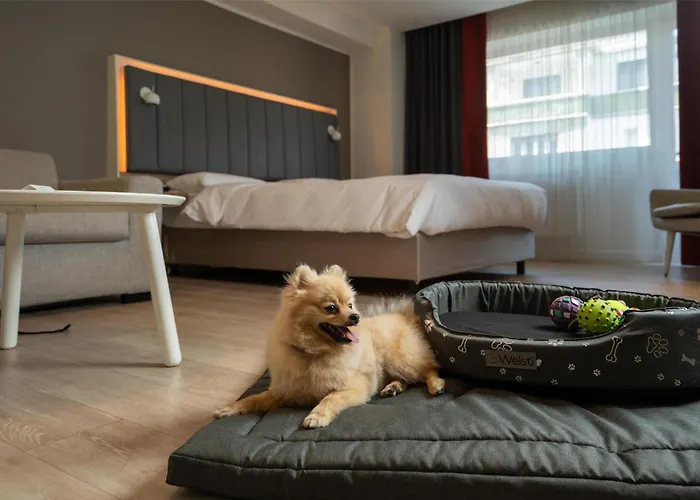 Park By Radisson & Bucharest
