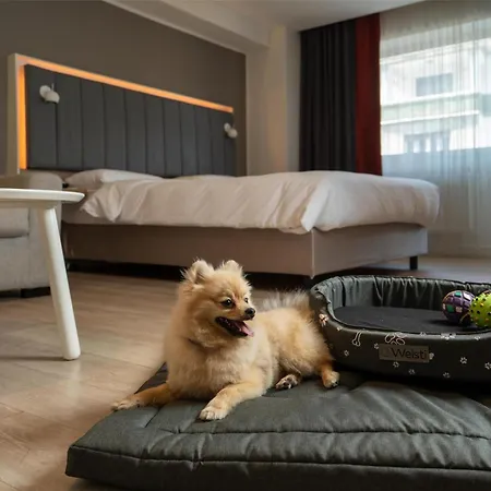 Park By Radisson & Bucharest